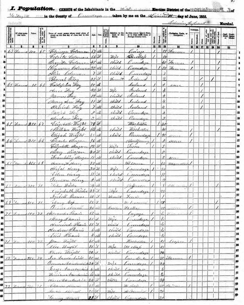 1855 New York State Census, LaFayette, Onandaga County
