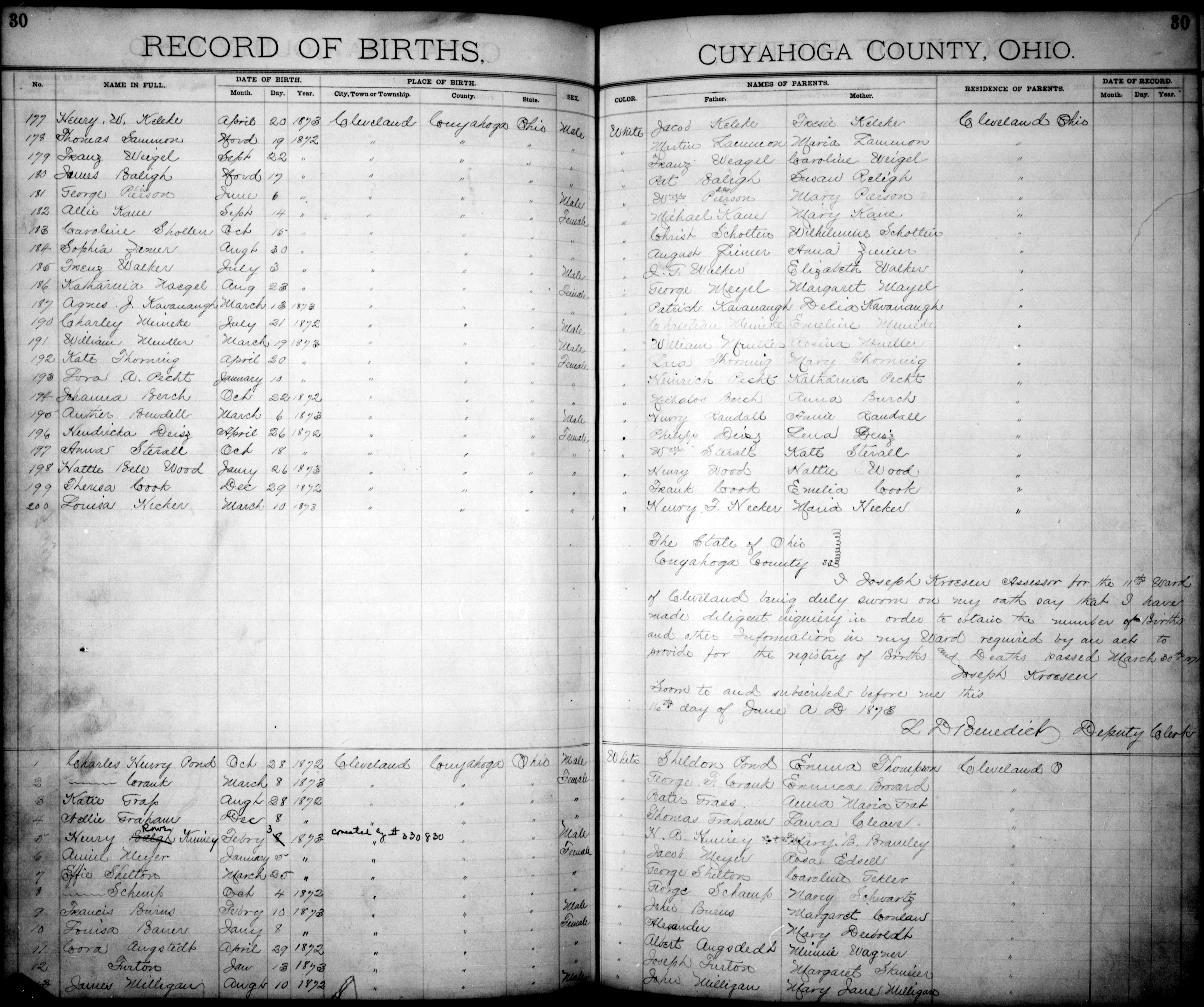 1873-03-13 Agnes J. Kavanaugh Birth Record, Cleveland, OH