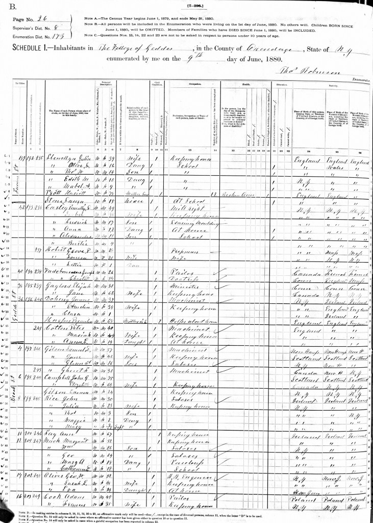 1880 US Census - Geddes, Onondaga County, New York - Ann Fay