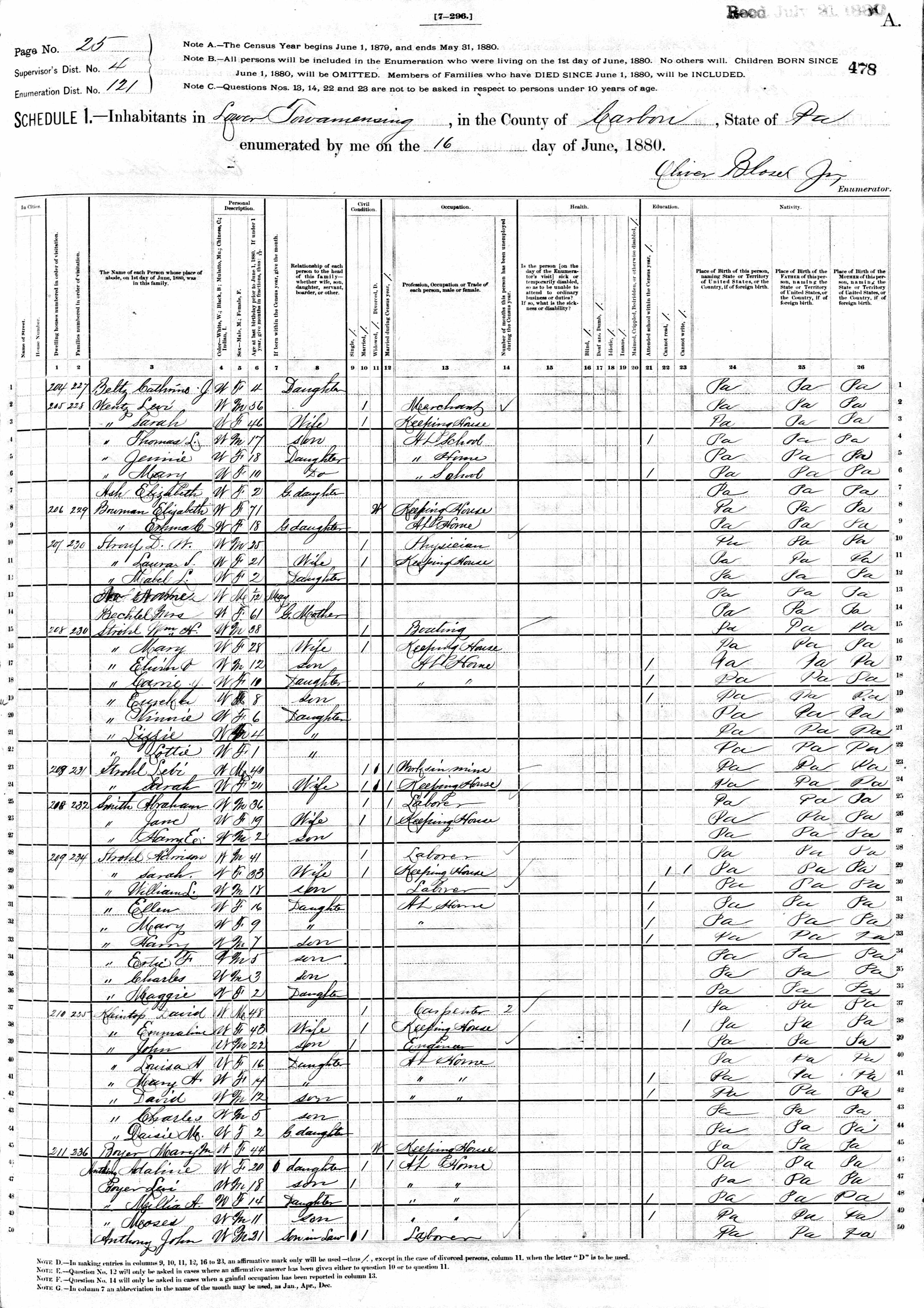 1880 United States Federal Census - David Walter Straub, Laura Sherisky LaBar, Mabel Straub