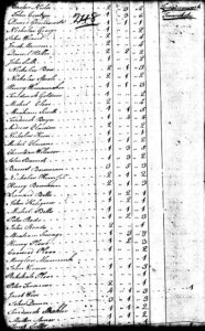 1790 US Census Towamensing Township, Carbon County, PA, Frederick Boyer