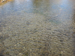 2015-04-11 Clear Water at Spring Creek, Bellefonte
