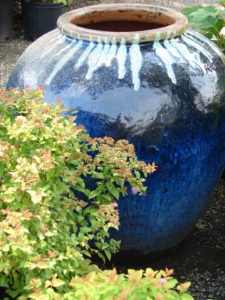 Blue Pot