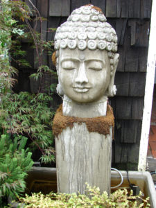 Buddha Head