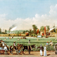 Cotton Plantation on the Mississippi, Currier & Ives, 1884
