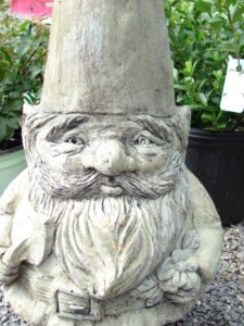 Gnome