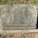 Mary Emily Smith Wells (1828-1915)