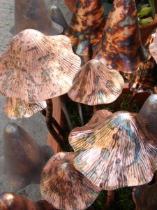 Mushrooms