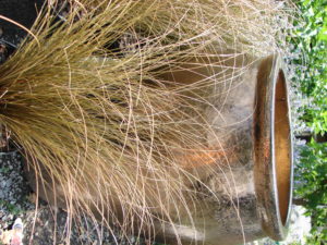 Shiny Pot with Brown Grass