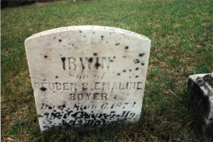 St Johns Union Cemetery April 2001 Irvin son of Reuben & Emaline Boyer 1874