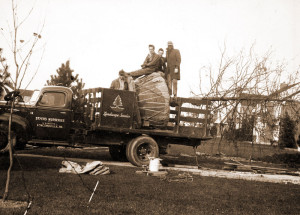 Styers, Moving a Tree