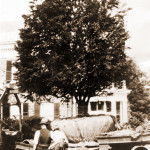 Styers, Moving a Tree