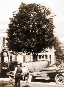 Styers, Moving a Tree
