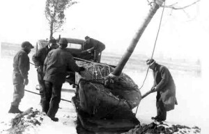Styers, Moving a Tree
