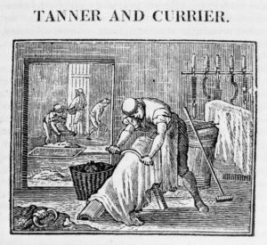 Tanner and Currier
