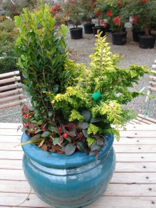 Winter Container