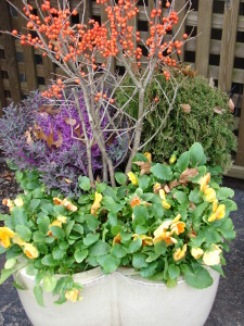 Winter Container