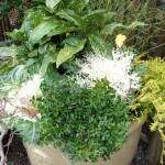 Winter Container