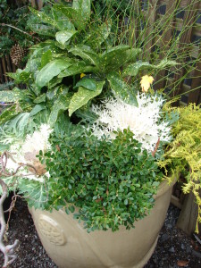 Winter Container