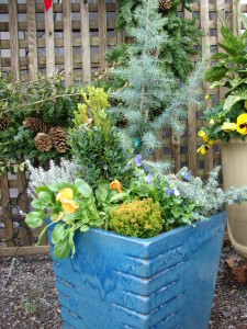 Winter Container