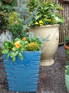 Winter Container