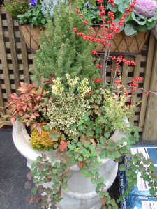 Winter Container