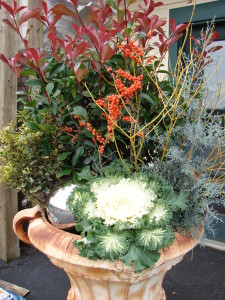 Winter Container