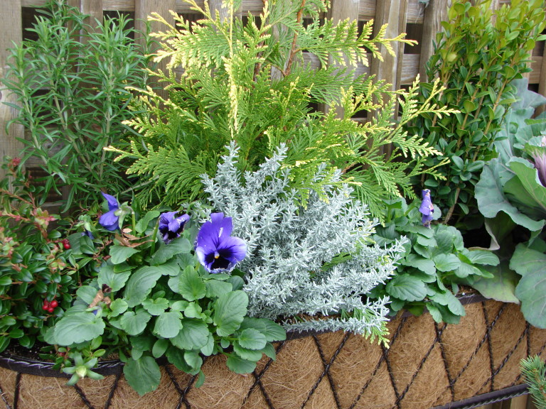 Winter Container
